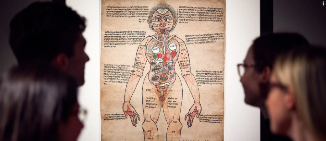 Ayurvedic Man. Four young people look at a poster that exhibits an 18th-century Nepali illustrated anatomical painting, which provides a visual interpretation of the organs and vessels of the male body according to classical Ayurveda.