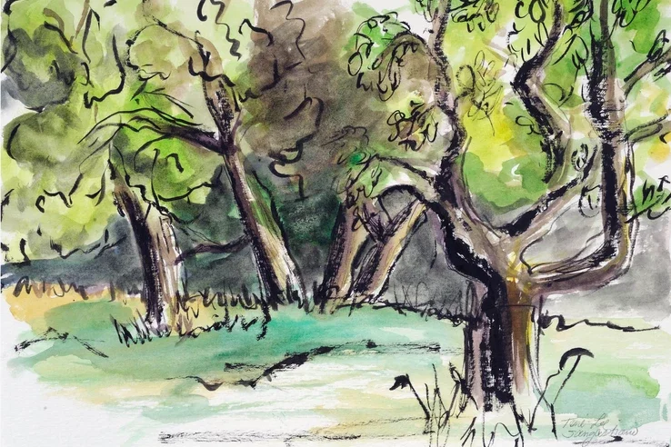 Watercolor painting of Olive Groves