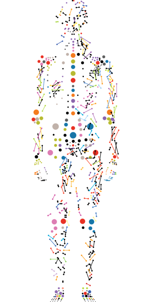 Human body made up of sticks and dots, representing its atoms and molecules
