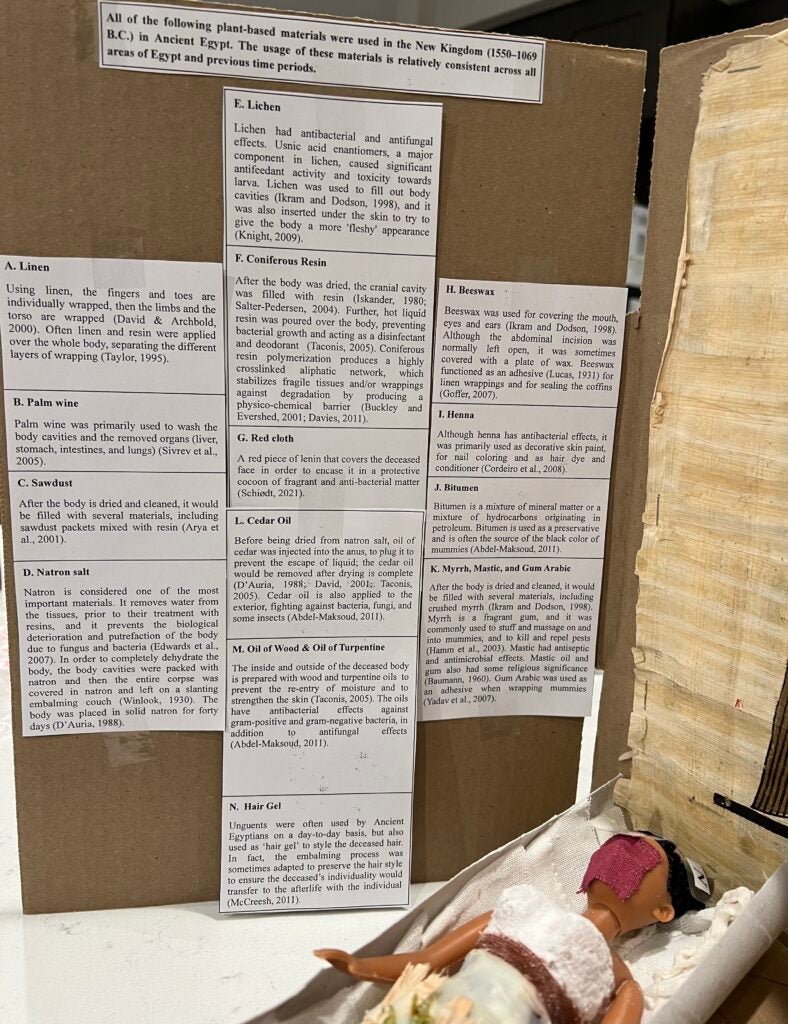 Doll representing the body that would be wrapped as a mummy in a sarcophagus. On top of that, there is some illegible text with a description of the research project