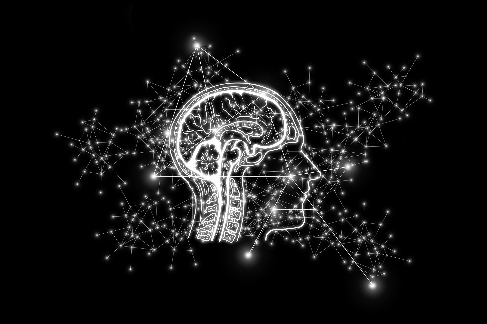 Human head, brain and nervous system with a black background showing information networks