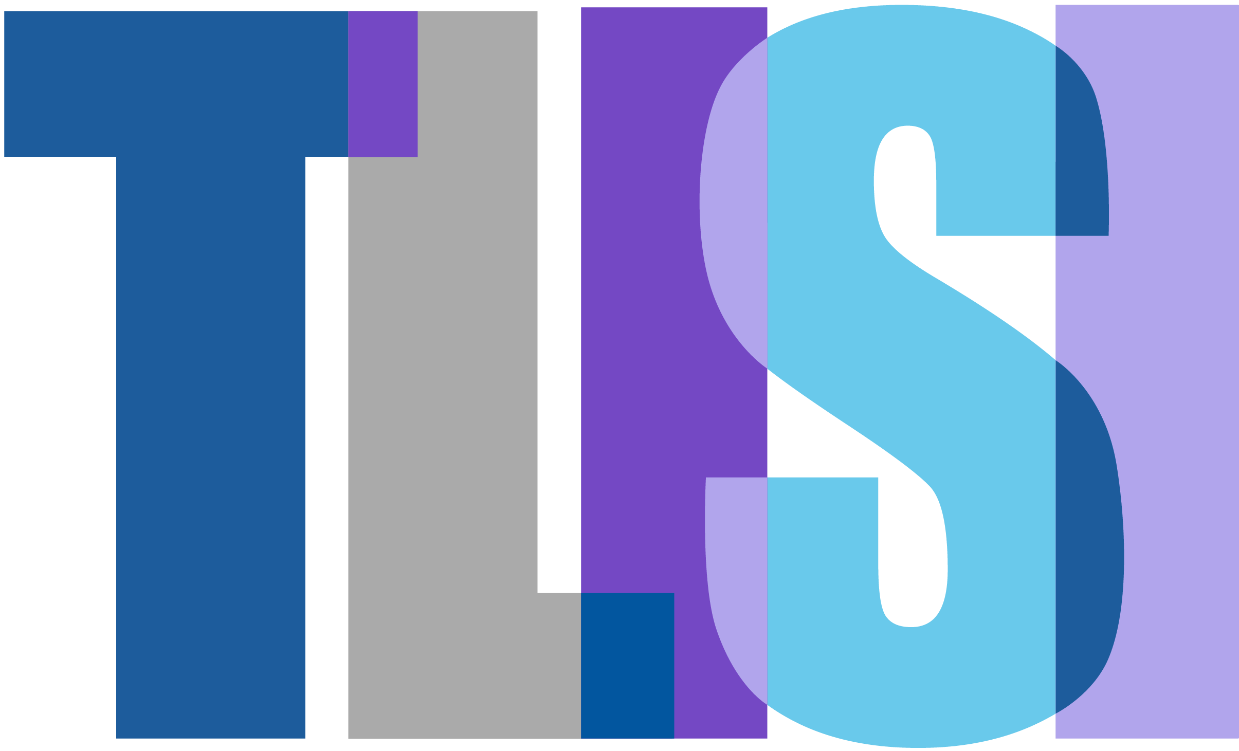 Teaching, Learning & Innovation Summer Institute logo
