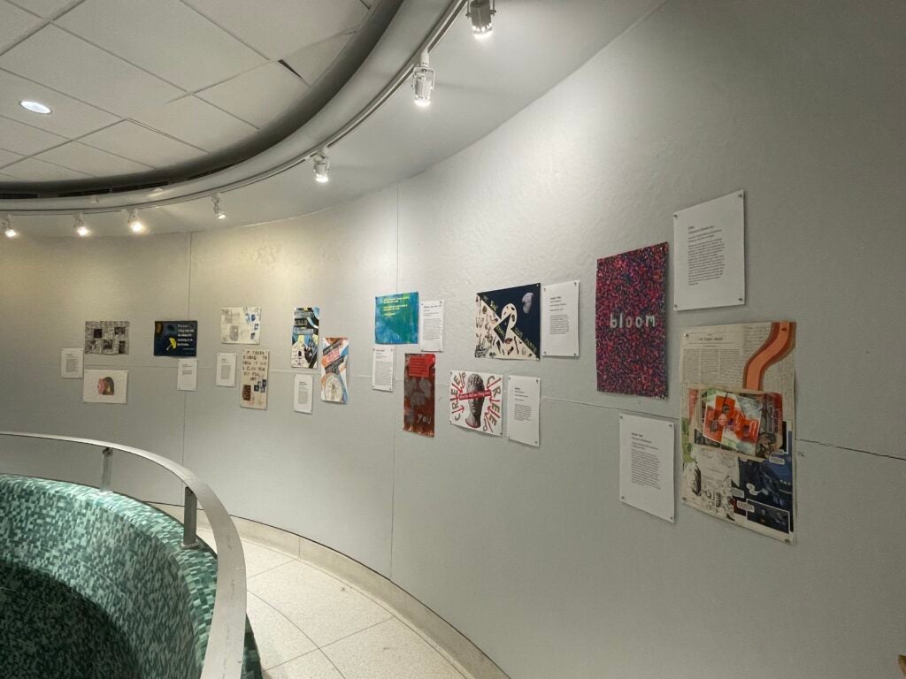 Insider/Outsider: The Anatomy of Identity Exhibition